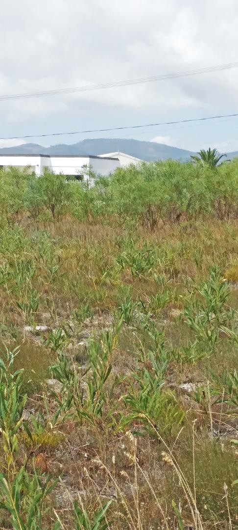 0 Bedroom Property for Sale in Fisherhaven Western Cape